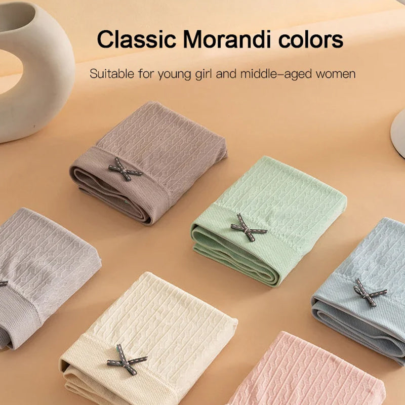 Cotton Antibacterial Panties (5 PCs)