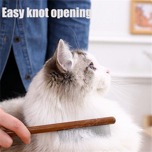 Solid Wood Pet Comb